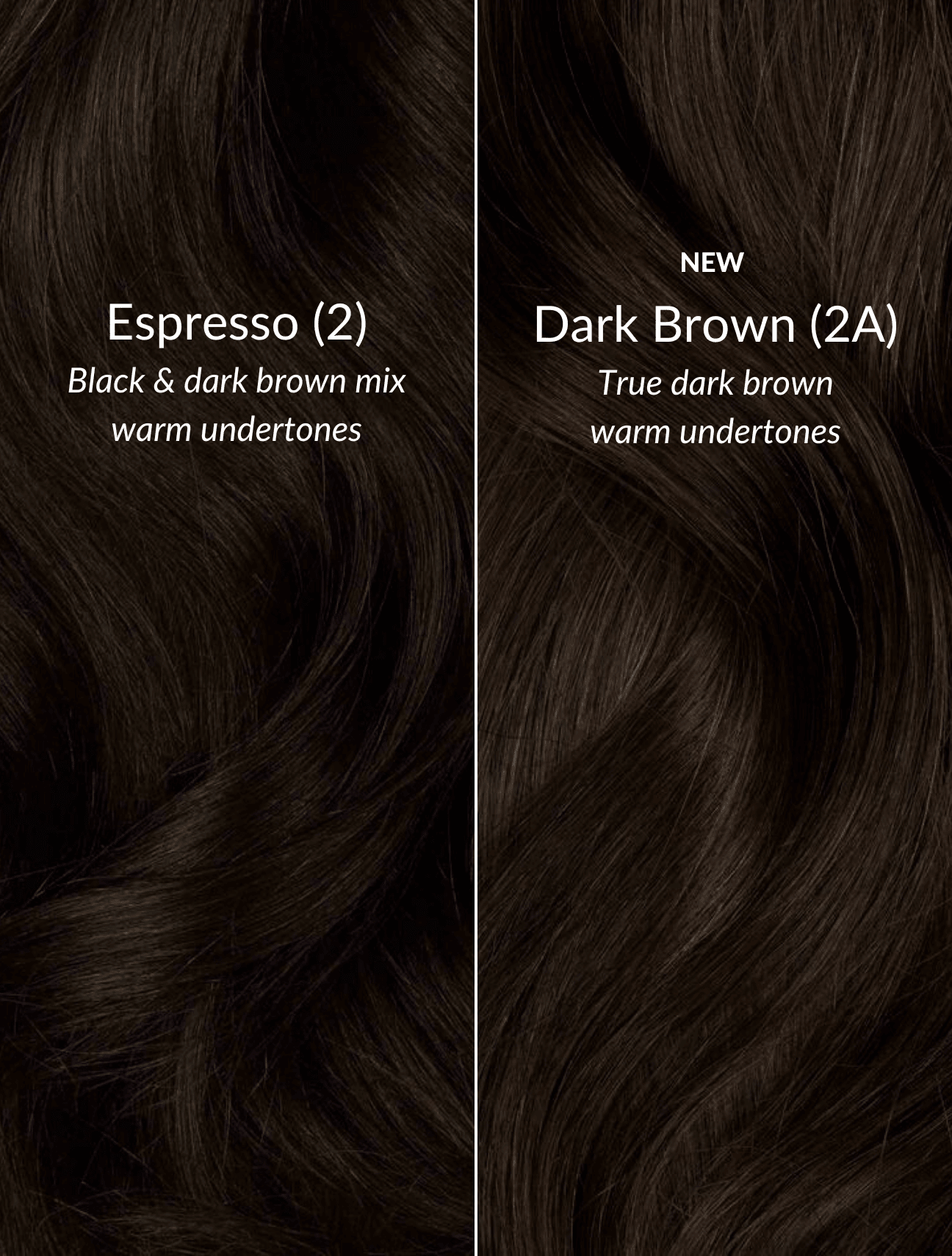 Dark Brown (2A) Seamless Clip-Ins