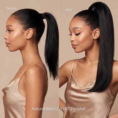 Dark Brown (2A) Ponytail