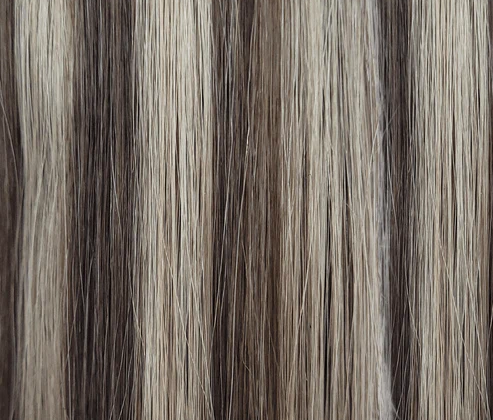 Brown/Blonde Highlights (P5/16)