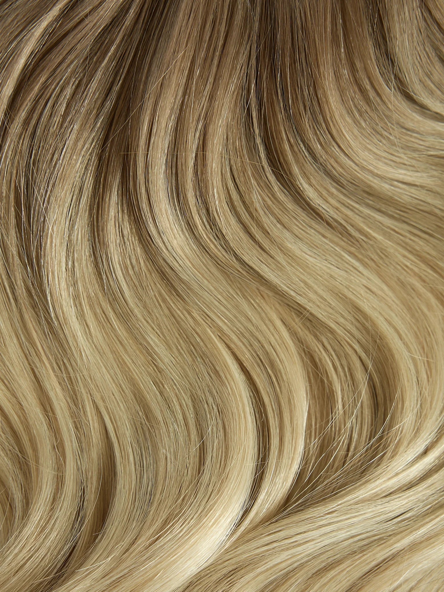 Balayage- Cool Brown (10C) to Grey (60G)