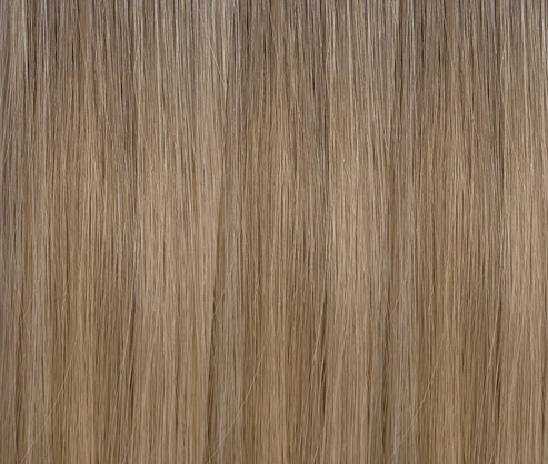 Ombre - Cool Brown to Dirty Blonde (T6/20)